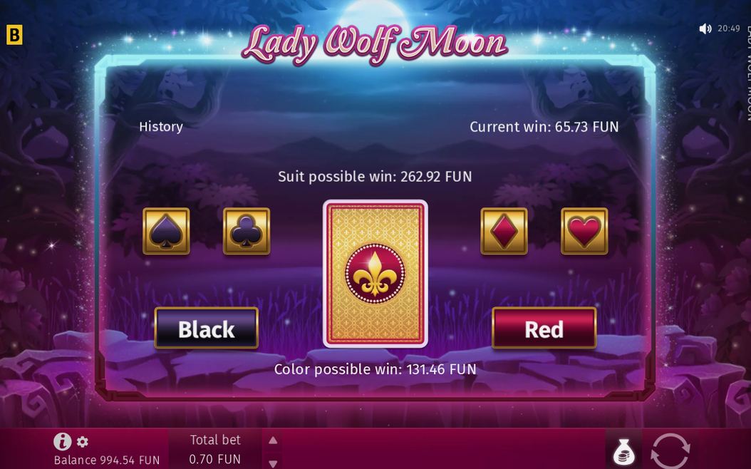 Bonus round screen as the game shows it
